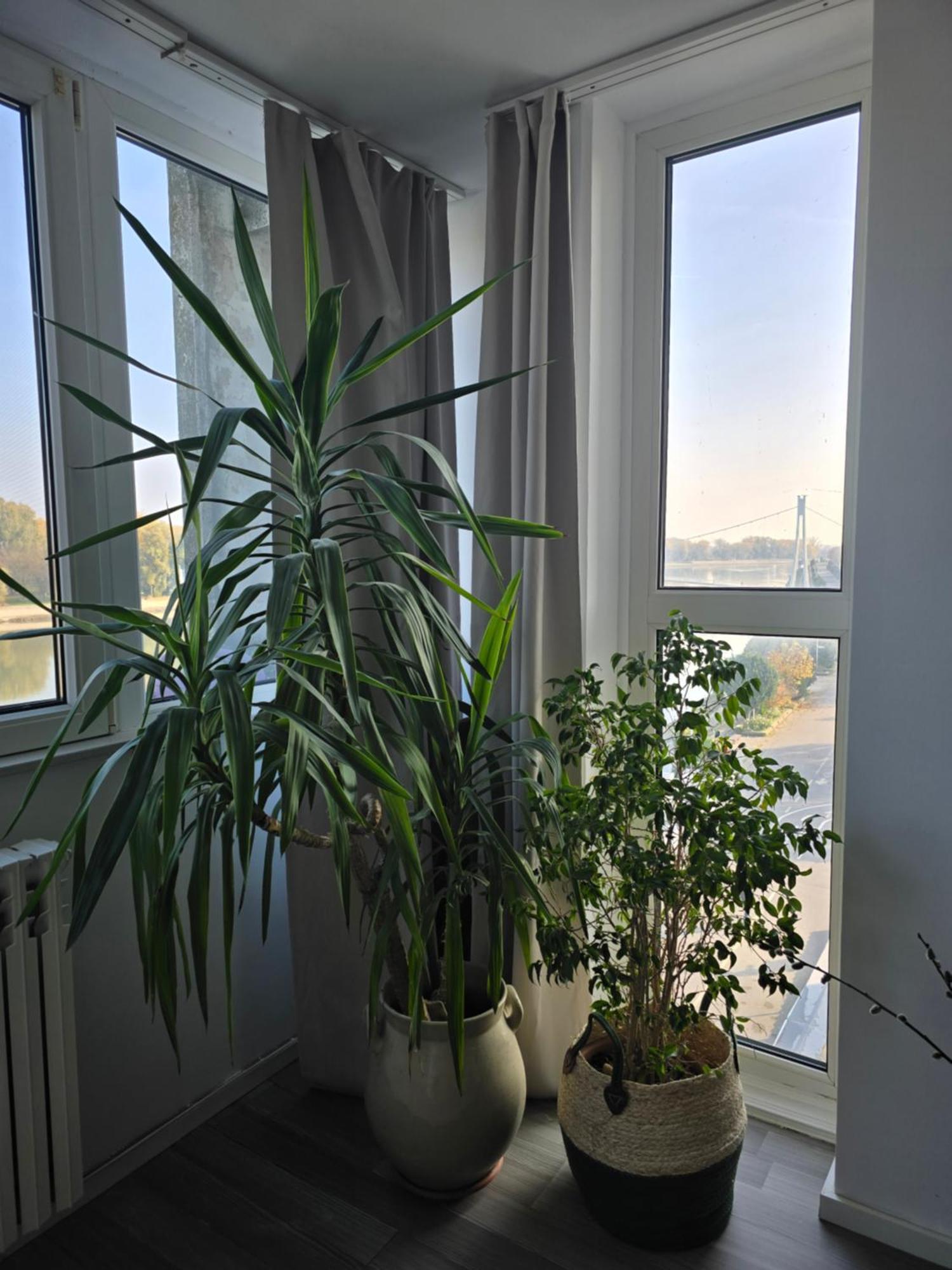 Riverview Apartment Osijek Exterior photo